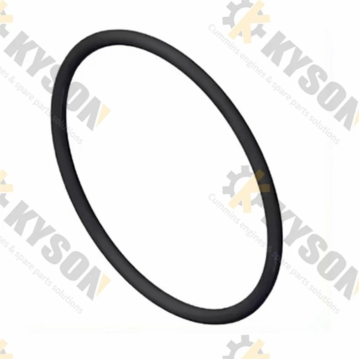 Seal O Ring (2)